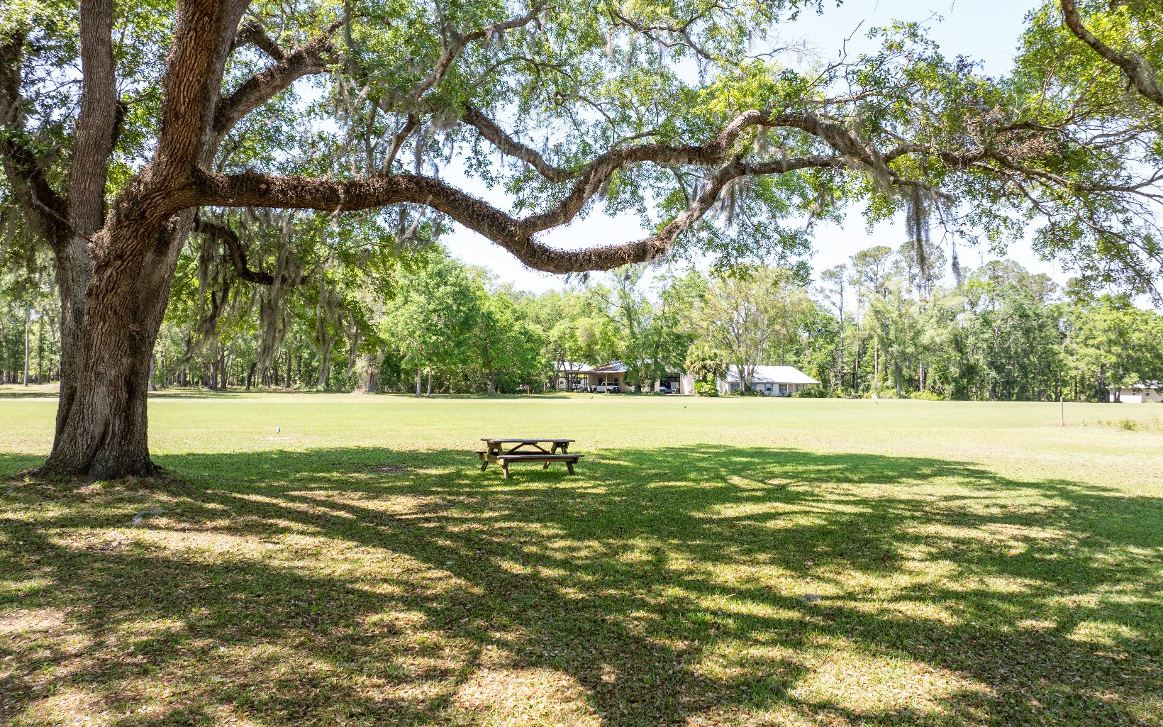 Property view 50